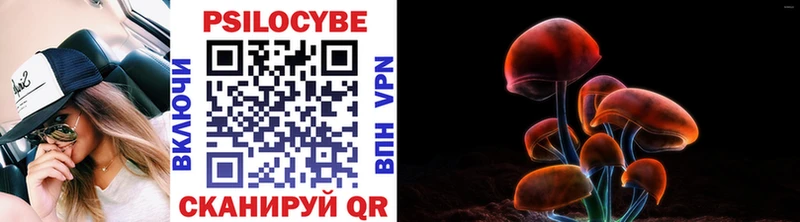 Купить  Остров  Псилоцибиновые грибы прущие грибы 